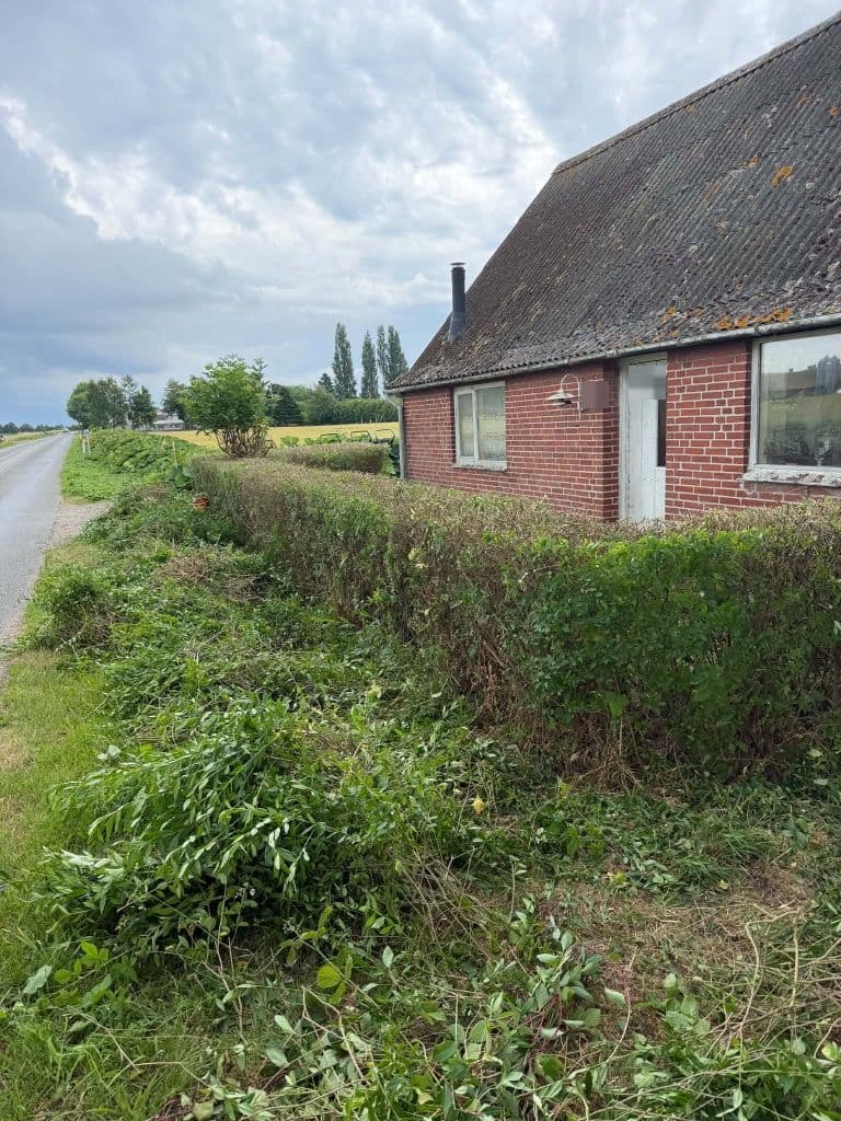 Efter: samme hæk klippet ned og formet, så det røde murstenshus og vinduerne er synlige