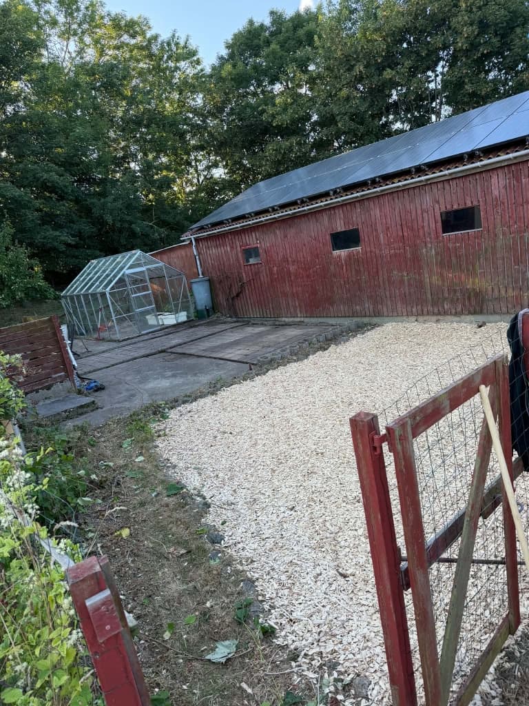 Efter: samme område efter rydning, dækket med lyst træflis og med fri adgang til drivhus og udhus